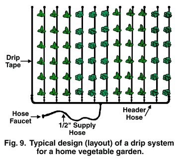 Drip irrigation system setup