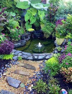 Wildlife garden area with bubbling pond