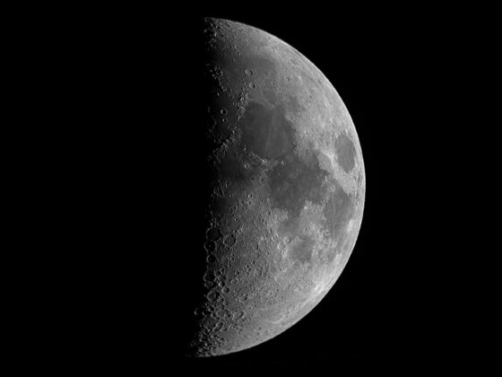 First quarter moon (half lit)