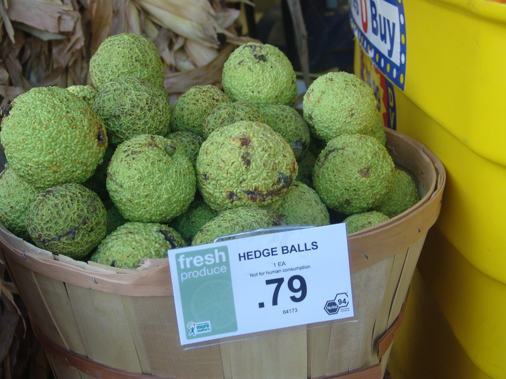 Hedge balls in a bushel basket in a grocery store.