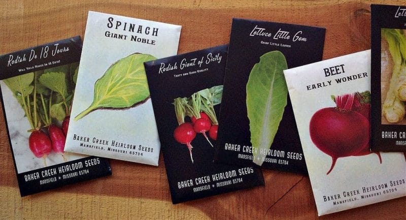 Seed packets of spinach, lettuce, radish, and beet laying on a table.