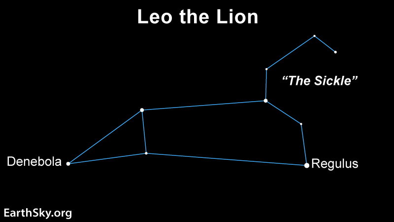 Constellation of Leo the Lion with stars labeled Denebola and Regulus. "The Sickle" outlined. Text: EarthSky.org. Black background.