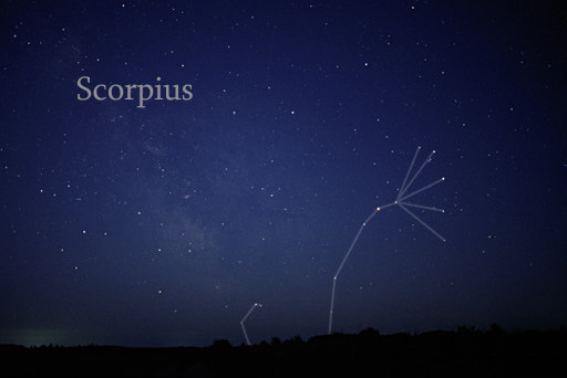 Scorpius constellation labeled in a starry night sky above a dark horizon, with white connecting lines and a blue glow.