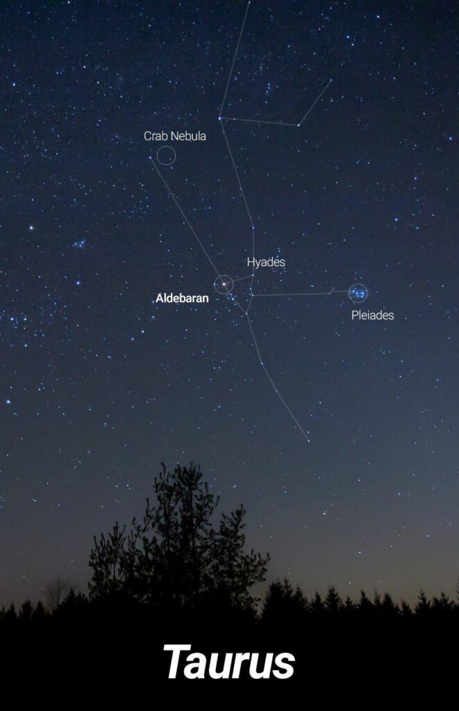 Starry sky with Taurus constellation, labels for Aldebaran, Crab Nebula, Hyades, Pleiades. Silhouette of trees below, text: Taurus.