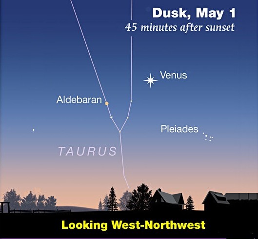 Night sky illustration with Venus, Aldebaran, and Pleiades in Taurus. Text: "Dusk, May 1, 45 minutes after sunset. Looking West-Northwest."