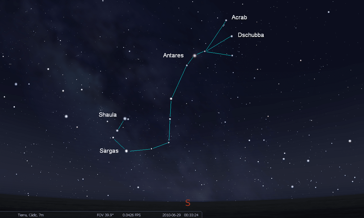 Star map of Scorpius in a dark night sky, with cyan lines and labels Antares, Acrab, Dschubba, Shaula, and Sargas.