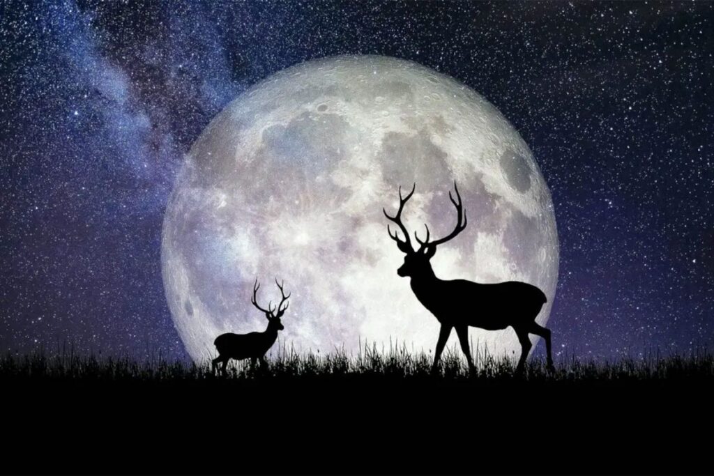 Two deer silhouettes stand in grass before a giant full moon under a starry night sky.
