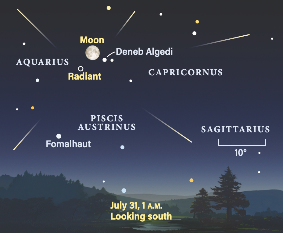 Star map of the night sky with Moon, Deneb Algedi, Fomalhaut and constellation labels; July 31, 1 A.M., looking south.