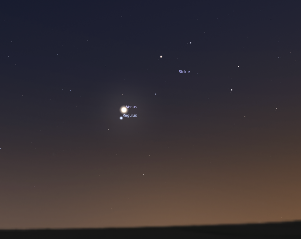 Labeled night sky with bright Venus near Regulus and the Sickle constellation above a dark horizon.