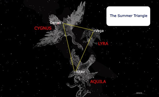 Diagram of the Summer Triangle linking Deneb, Vega and Altair, with labeled Cygnus, Lyra and Aquila on a starry black background.