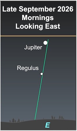 Sky chart labeled Late September 2026 Mornings Looking East showing Jupiter and Regulus near a green path above the eastern horizon.